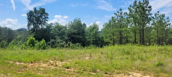 96 Evergreen Dr, Dover, TN 37058