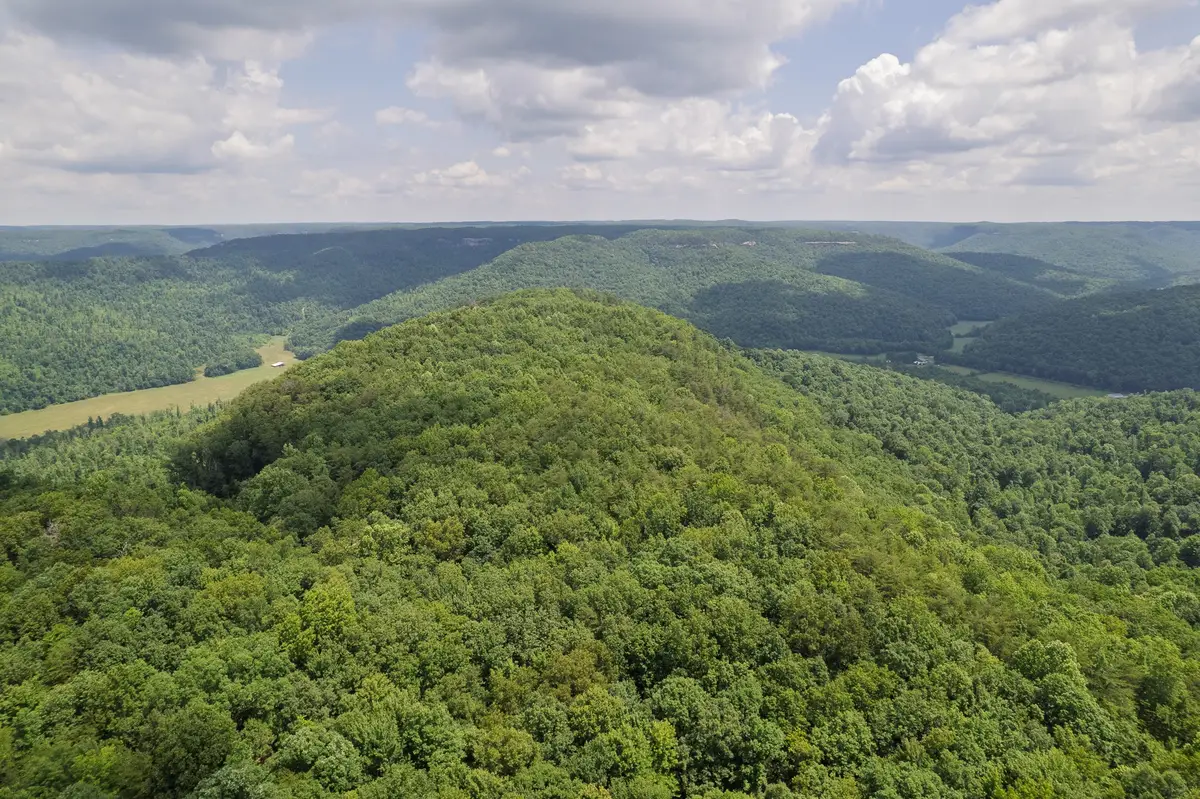 1313 Flat Rock Rd, Jamestown, TN 38556 - #1