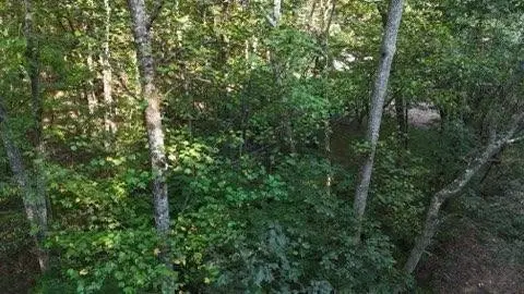 0 Lower River Road Nw, Georgetown, TN 37336 - #1