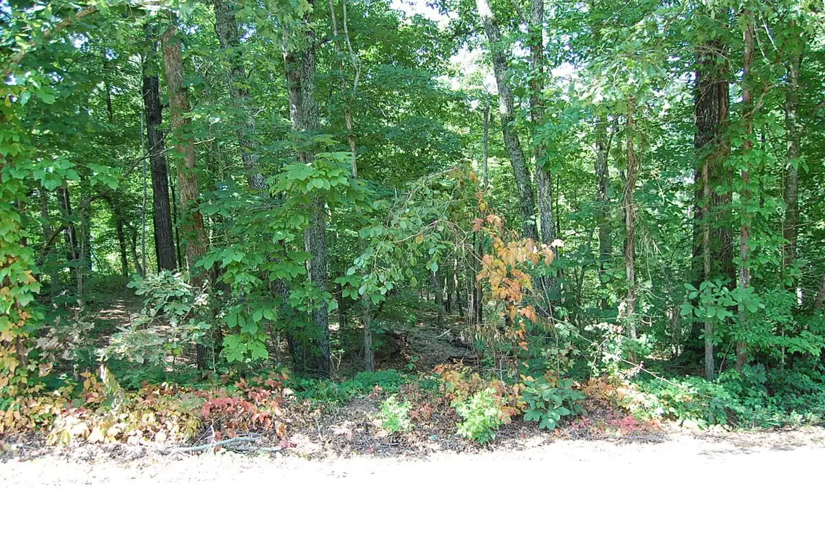 65 Dogwood Lane, Dunlap, TN 37327 - #1