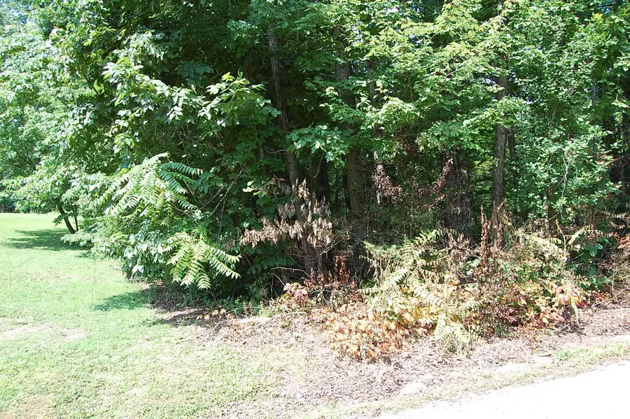 65 Dogwood Lane, Dunlap, TN 37327 - #2