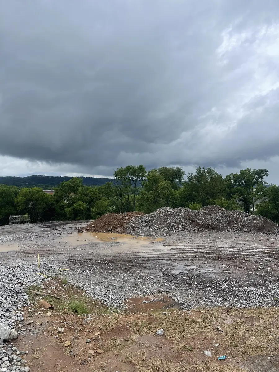 231 Berry Hunter Lane, Franklin, TN 37067 - #3