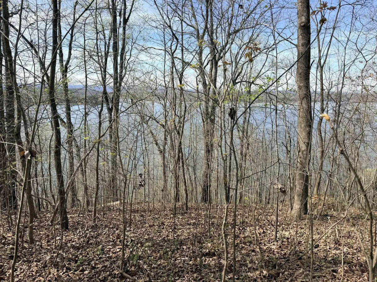 7 Johnson Lane, Ten Mile, TN 37880 - #1