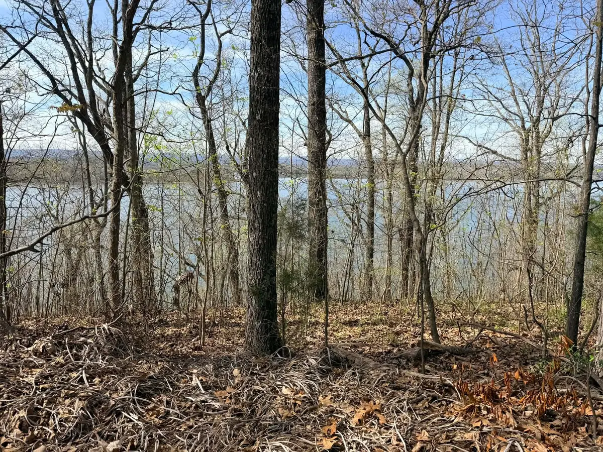 8 Johnson Lane, Ten Mile, TN 37880 - #1