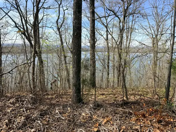 8 Johnson Lane, Ten Mile, TN 37880