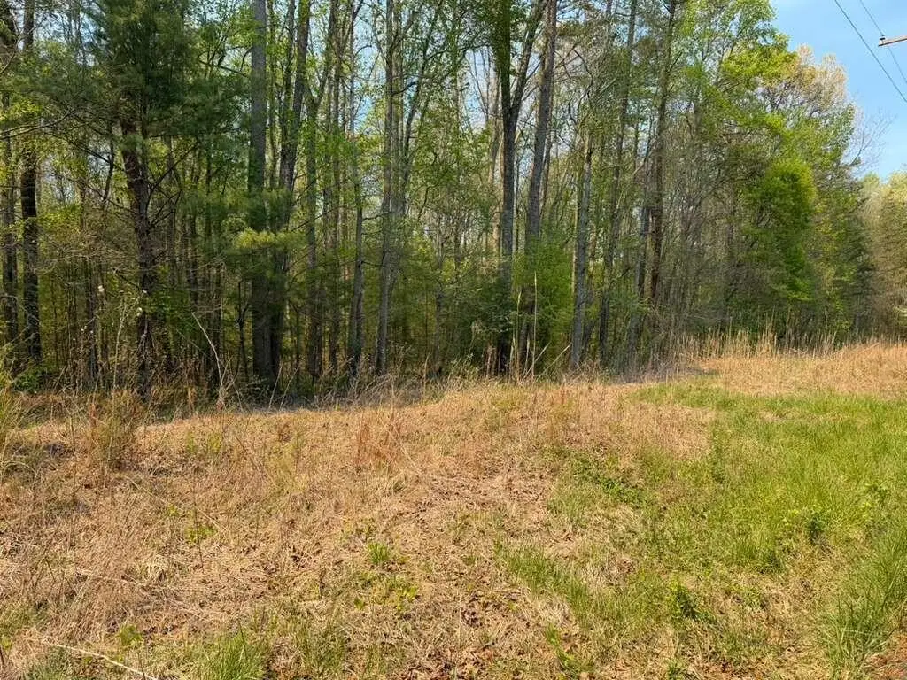 0 Ironsburg Road, Tellico Plains, TN 37385 - #1