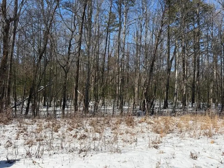 0 Ironsburg Road, Tellico Plains, TN 37385 - #2