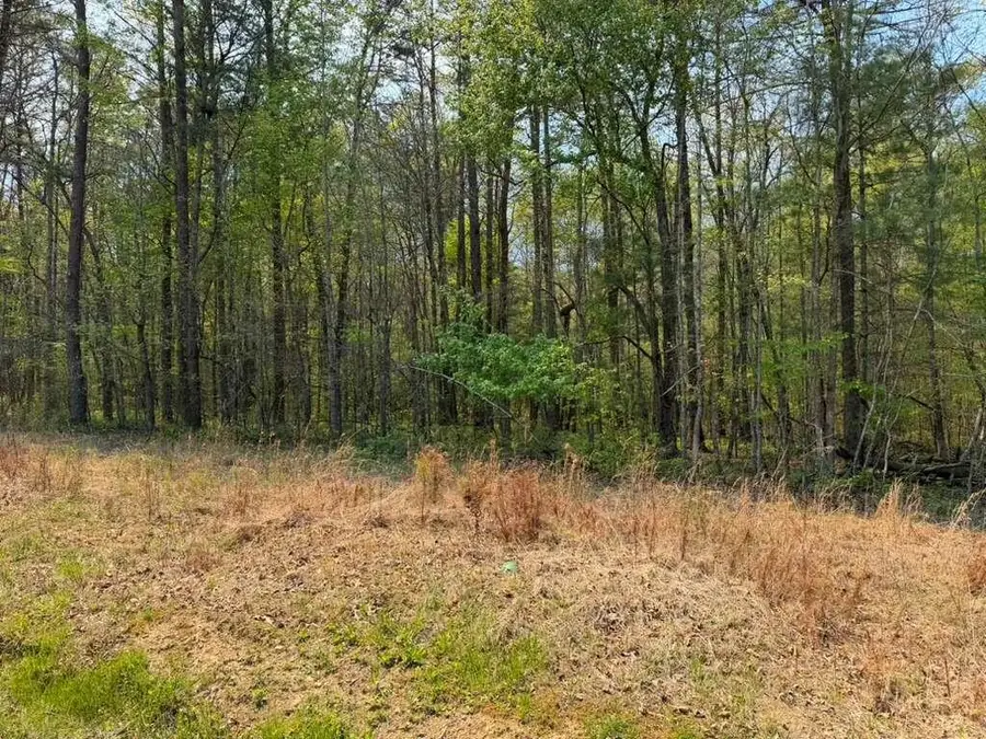 0 Ironsburg Road, Tellico Plains, TN 37385 - #3