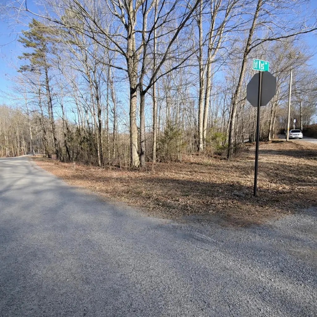 7 Bill West Road, Ten Mile, TN 37880 - #1