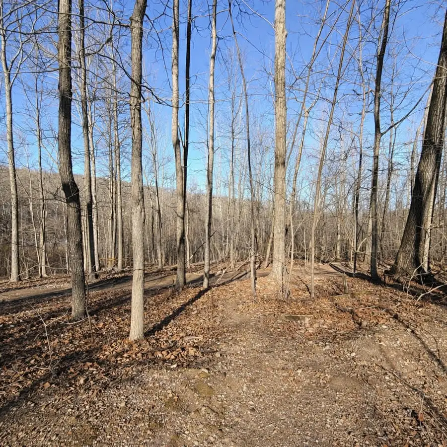 7 Bill West Road, Ten Mile, TN 37880 - #2