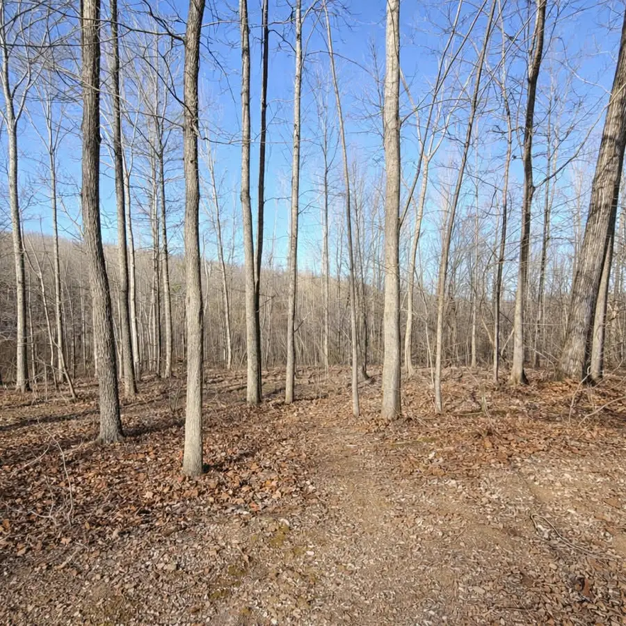 7 Bill West Road, Ten Mile, TN 37880 - #3