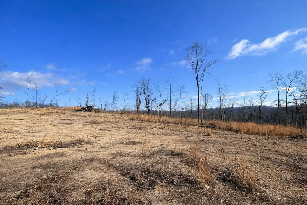 2734 River Road, Decatur, TN 37322 - #1