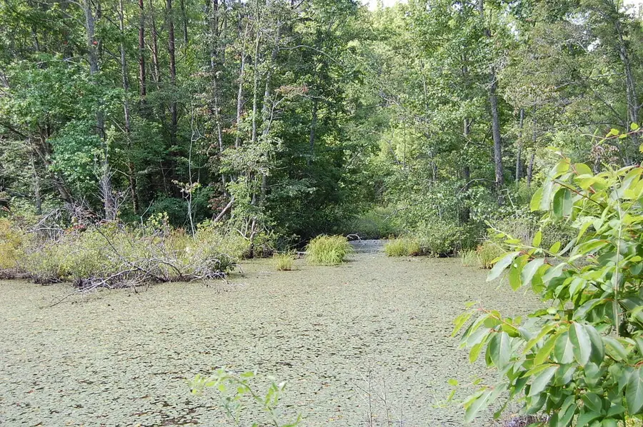57 Hugh Allison Road, Pikeville, TN 37367 - #2