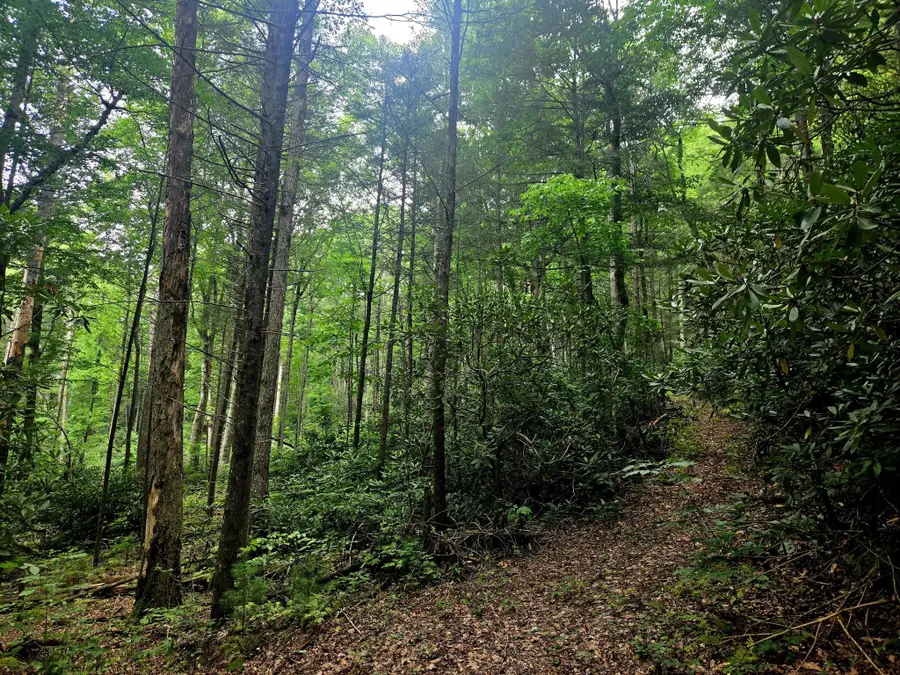 0 Holder Cemetery Road, Tellico Plains, TN 37385 - #2