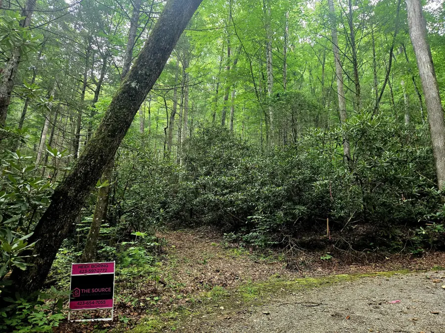 0 Holder Cemetery Road, Tellico Plains, TN 37385 - #3