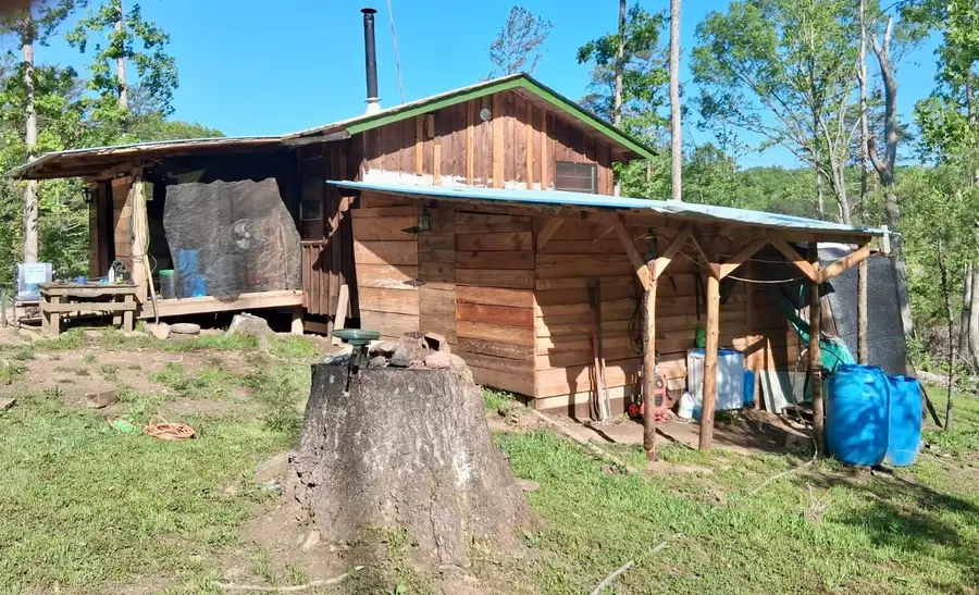 233 Finger Board Road, Tellico Plains, TN 37385 - #3