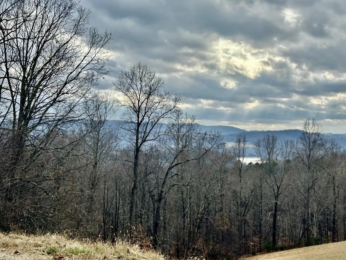 0 Topaz Lane, New Tazewell, TN 37825 - #1