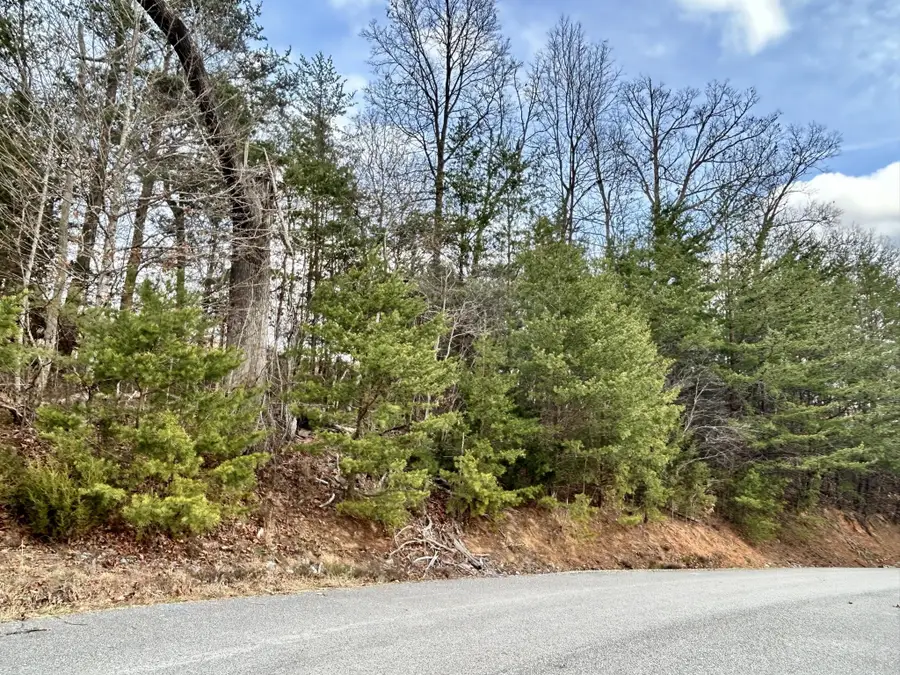 0 Topaz Lane, New Tazewell, TN 37825 - #2