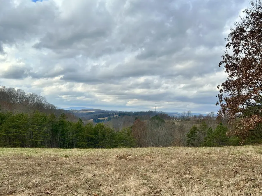 0 Topaz Lane, New Tazewell, TN 37825 - #3