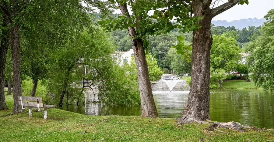 900 Mountain Creek Road #P236, Chattanooga, TN 37405 - #3