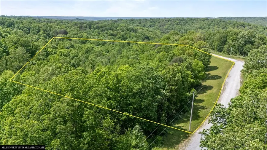 0 Western Road, Waverly, TN 37185 - #3