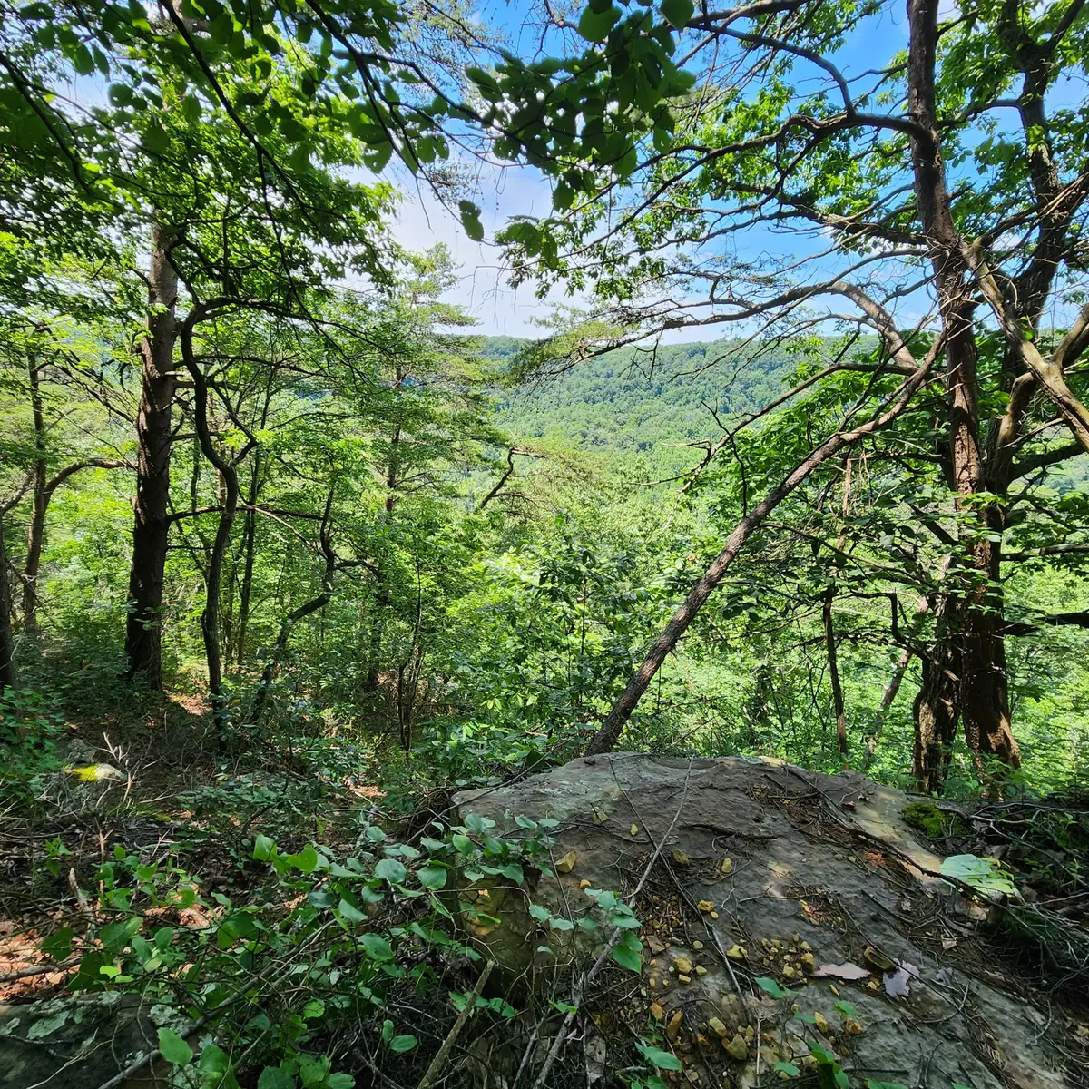 0 Eagle Point Drive, Monteagle, TN 37356 - #1