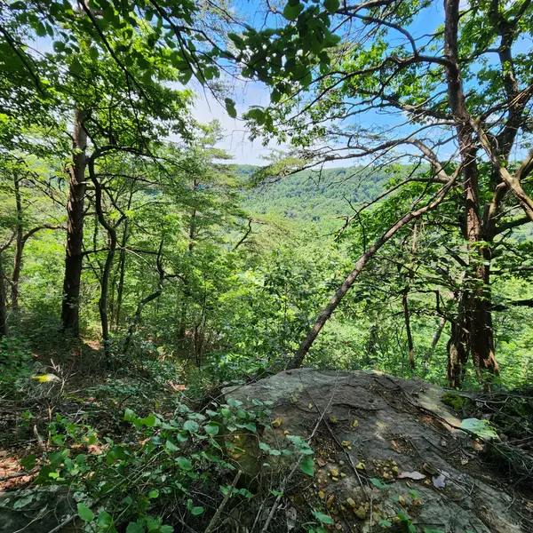0 Eagle Point Drive, Monteagle, TN 37356