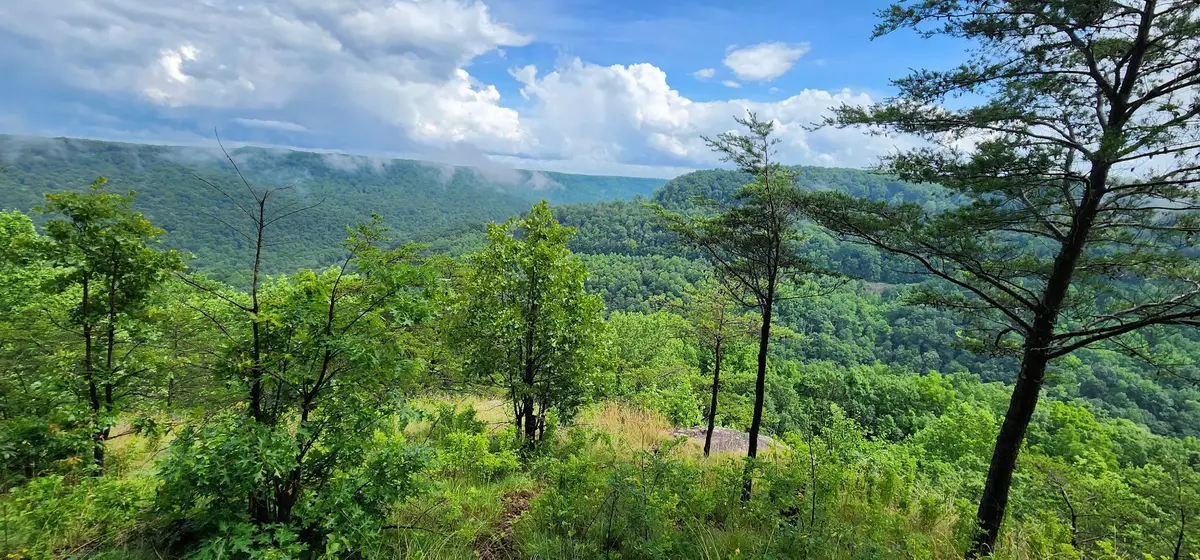 0 Eagle Point Drive, Monteagle, TN 37356 - #1