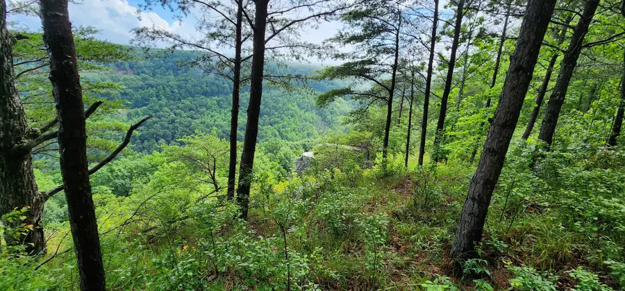 0 Eagle Point Drive, Monteagle, TN 37356 - #2