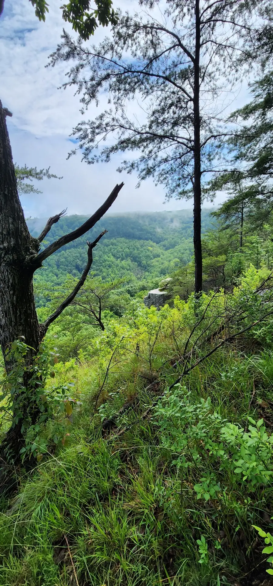 0 Eagle Point Drive, Monteagle, TN 37356 - #3