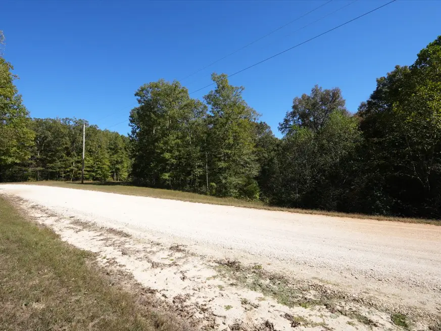 21 Three Rivers Dr, Hurricane Mills, TN 37078 - #2