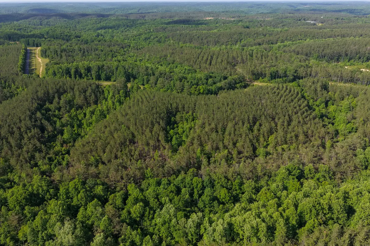 0 Darbytown Rd, Hohenwald, TN 38462 - #1