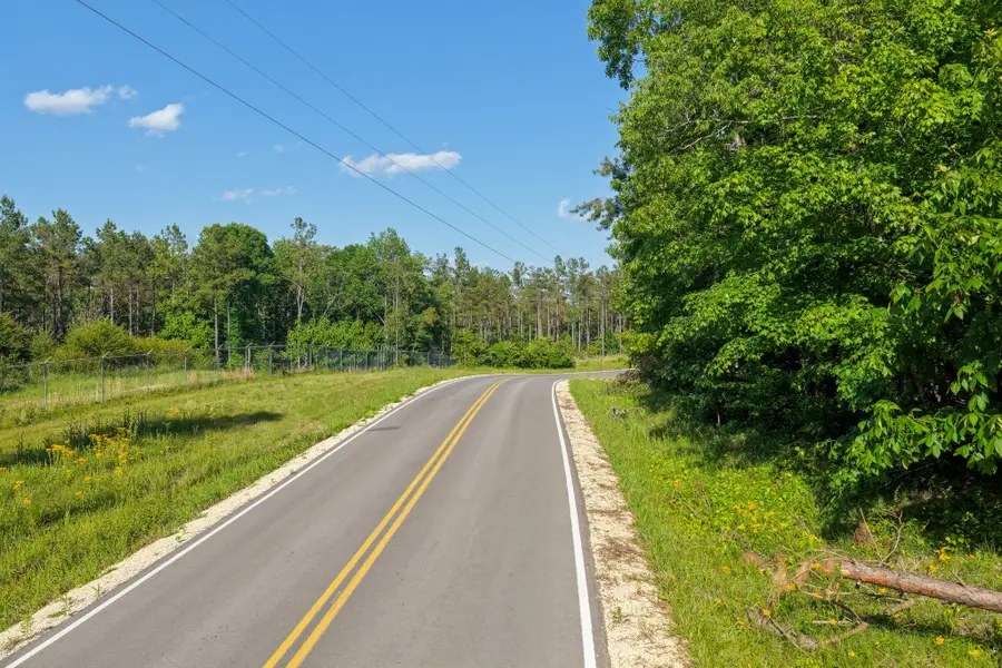 0 Darbytown Rd, Hohenwald, TN 38462 - #2