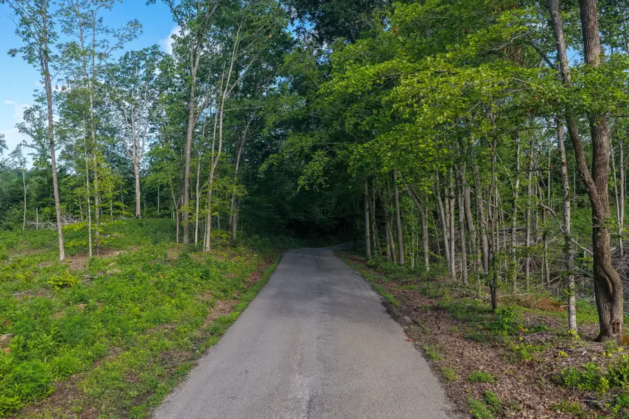 0 Upper Standing Rock Rd, Dover, TN 37058 - #2