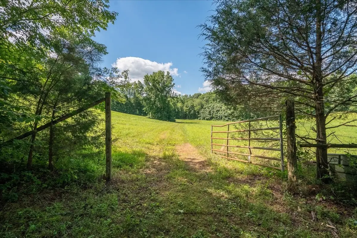 1630 Johnson Branch Rd, Pulaski, TN 38478 - #1