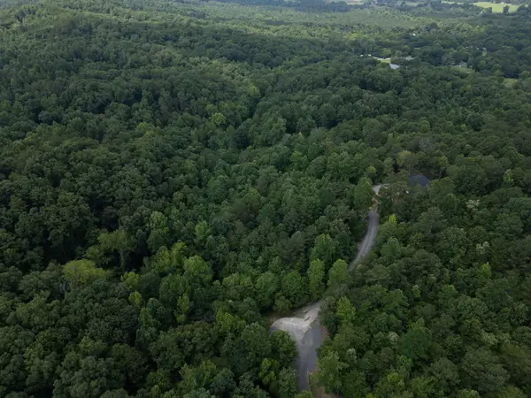 0 Dogwood Hollow, Old Fort, TN 37362