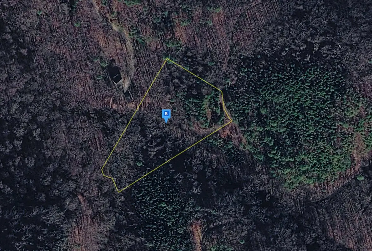 1040 Old River Rd, Walland, TN 37886 - #1