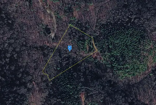1040 Old River Rd, Walland, TN 37886