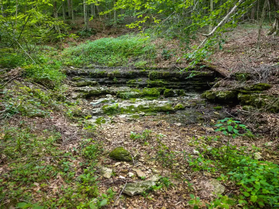 68 Clure Brown Rd, Westmoreland, TN 37186 - #2
