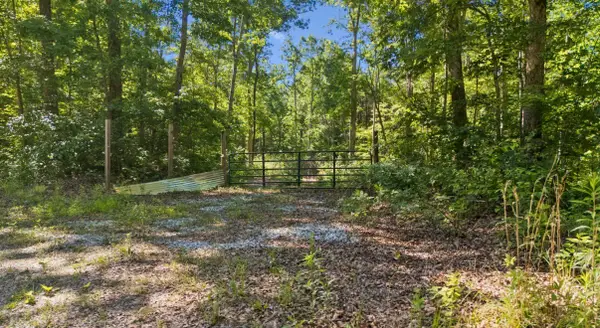 9 Dollar Ln, Altamont, TN 37301