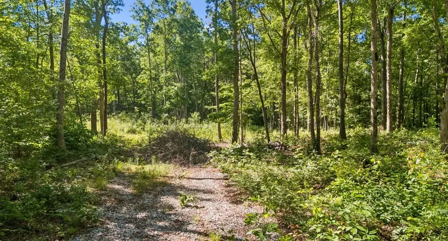 9 Dollar Ln, Altamont, TN 37301 - #3