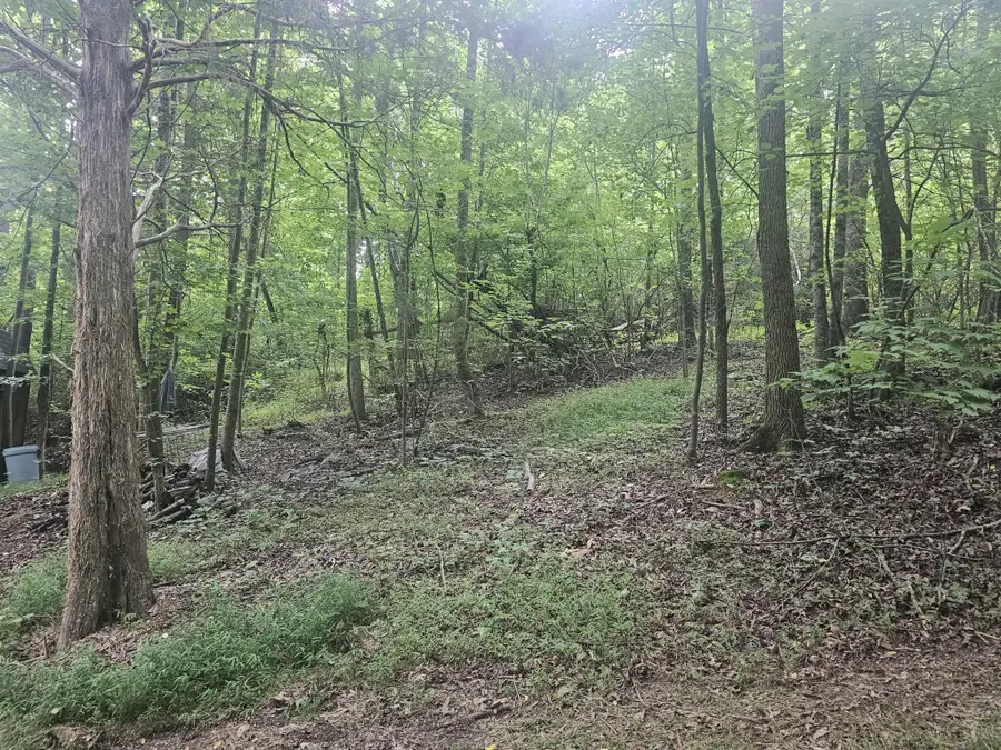 658 Corvin Road Ne, Cleveland, TN 37323 - #3