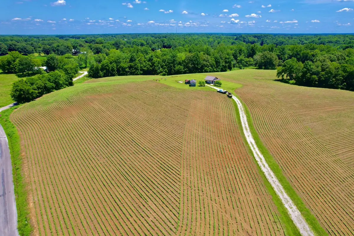 8 Lambs Ferry Rd, Leoma, TN 38468 - #1