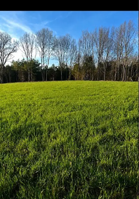 1261 Highway 48 S, Dickson, TN 37055 - #1