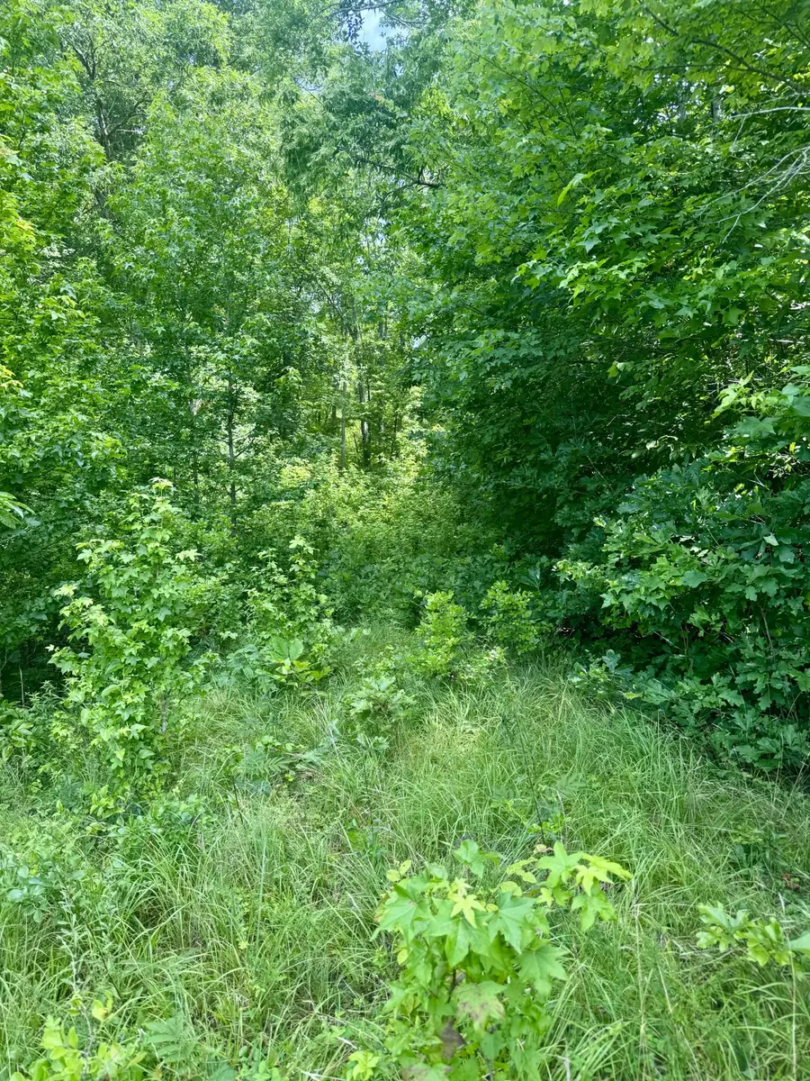 0 Highway 13 S, Waverly, TN 37185 - #3