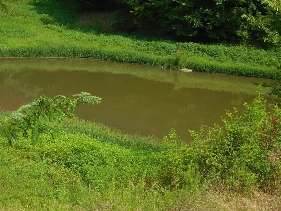 0 Flynns Lick Lane, Gainesboro, TN 38562 - #3