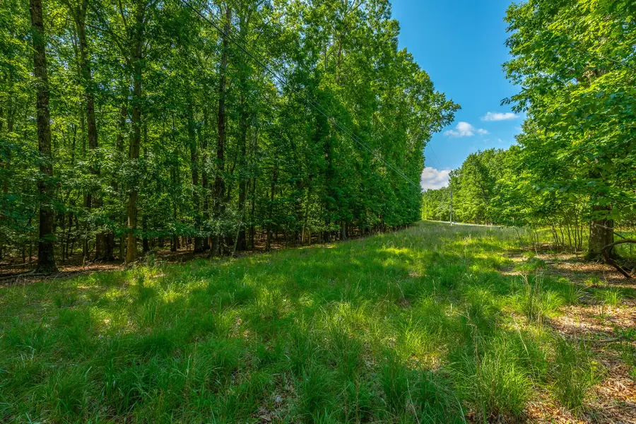 0 Deep Woods Road, Sewanee, TN 37375 - #3