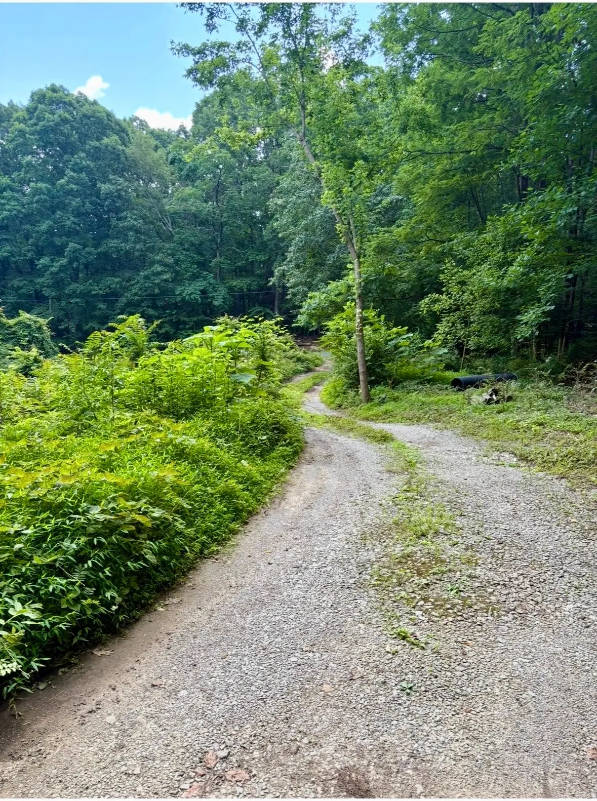 1431 Roarks Cove Rd, Sewanee, TN 37375 - #1