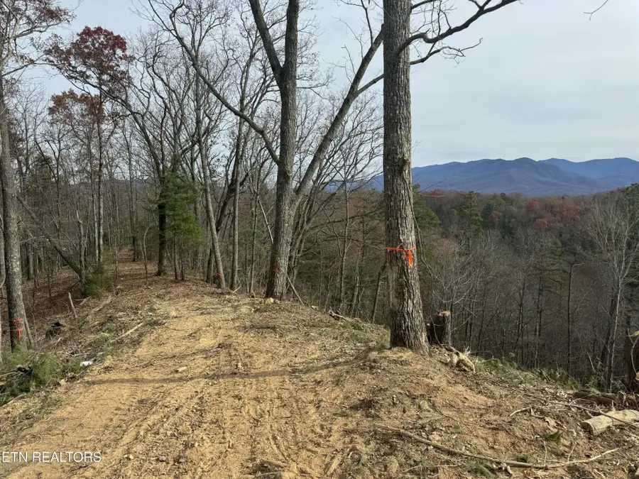 2 Vista Drive, Gatlinburg, TN 37738 - #3