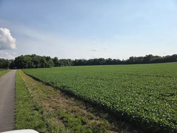 0 Power Station Rd, Taft, TN 38488